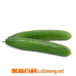 吃蔬瓜有什么好处,健康生活必备的五大益处揭秘”  第1张
